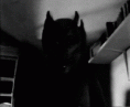 /album/galeria-de-fotos-bizarro/fotos-deepweb-1-gif/