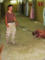 /album/galeria-de-fotos-torturas/a48809131-ap060613064025-jpg/